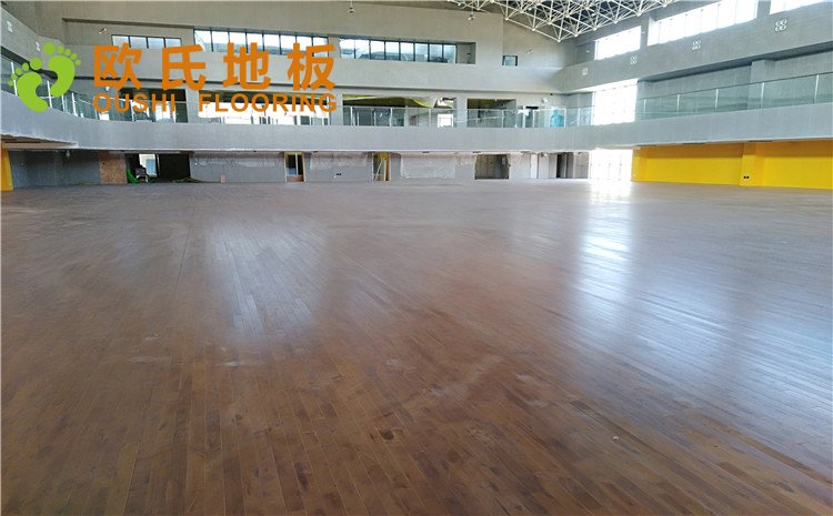 北大附屬廊坊益田實驗學校體育館木地板圖片